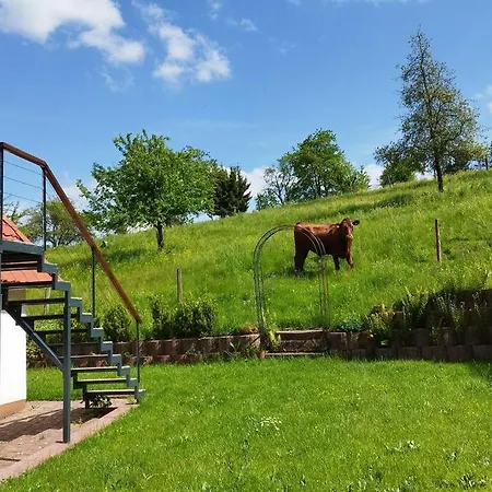 Apartment Schmidt Airlenbach